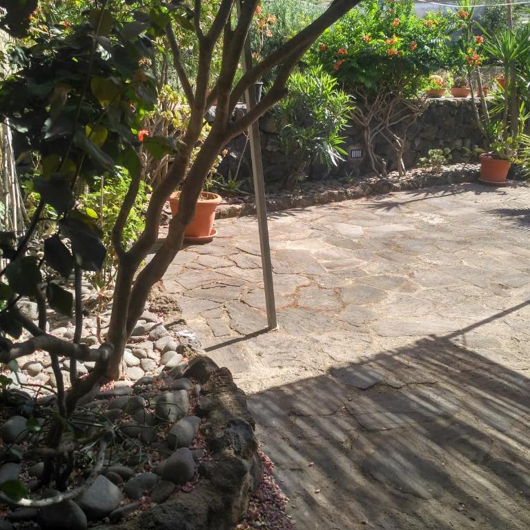 i dammusi di Egle - One-Bedroom House - 12
