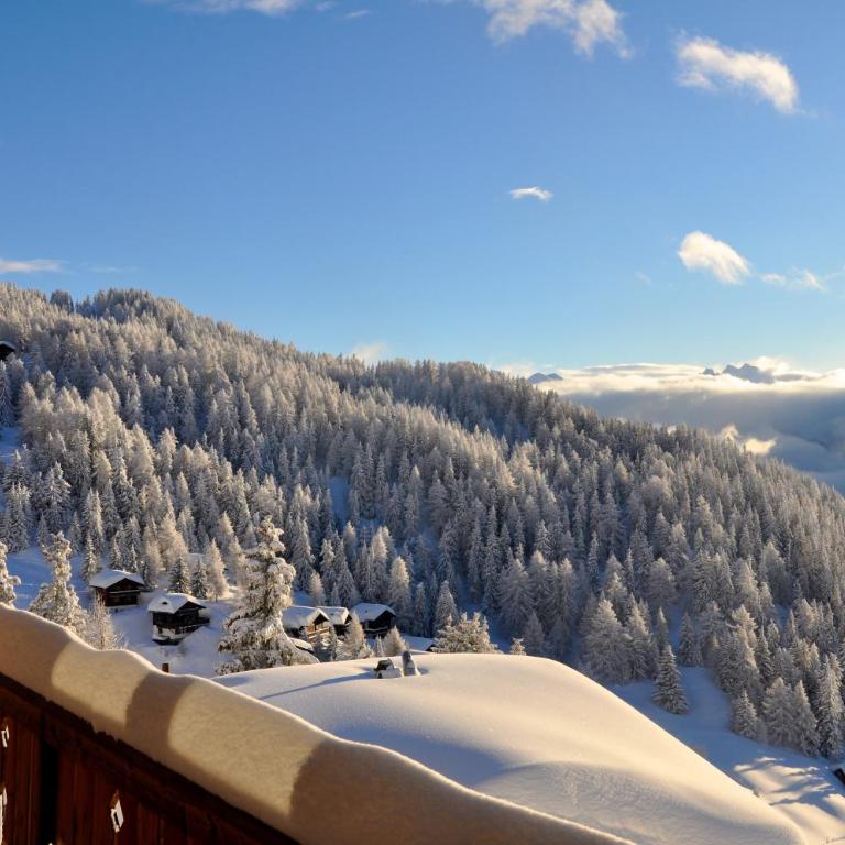 Hotel Slalom - Einzelzimmer mit Balkon - 5