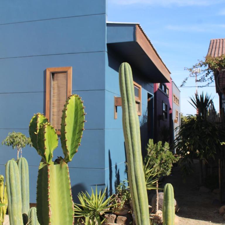 Los Cactus de Islón - One-Bedroom Suite - 2