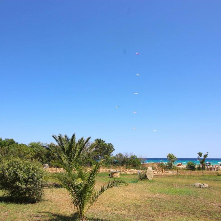 Costa Rei Villa in Prima Fila Mare con Ampio Giardino - Casa con 3 Camere da Letto - 42