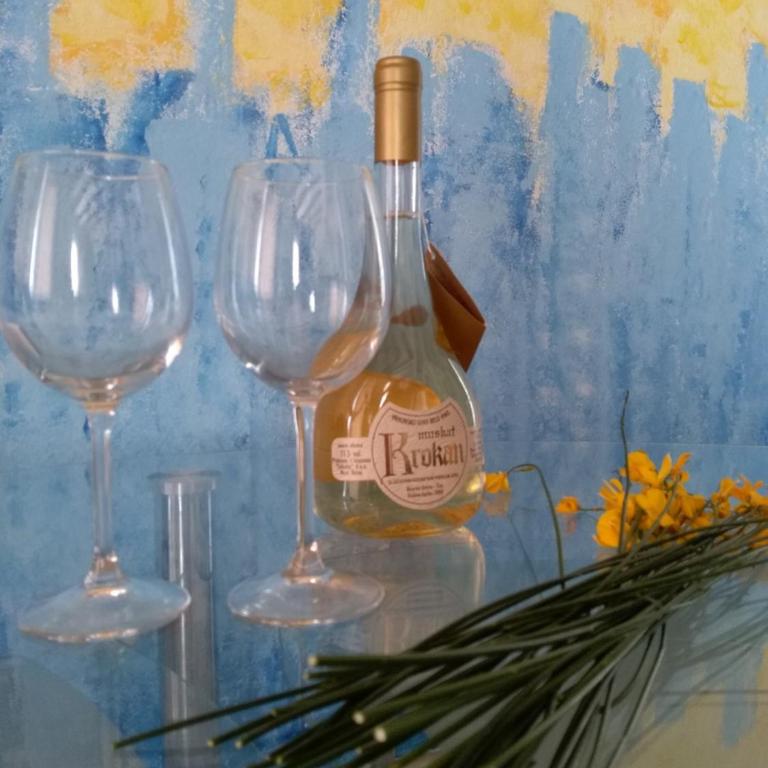 Apartmani Jovanovic - Apartman s 1 Spavaćom Sobom, Balkonom i Pogledom na More - 17