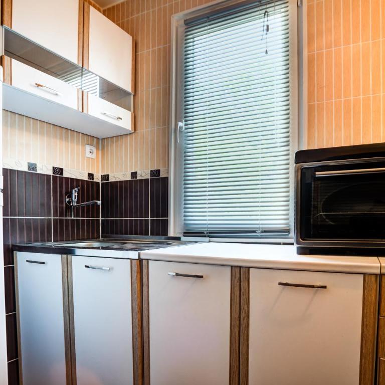 Stojkovic Family Apartments - Apartman sa 1 Spavaćom Sobom - 5