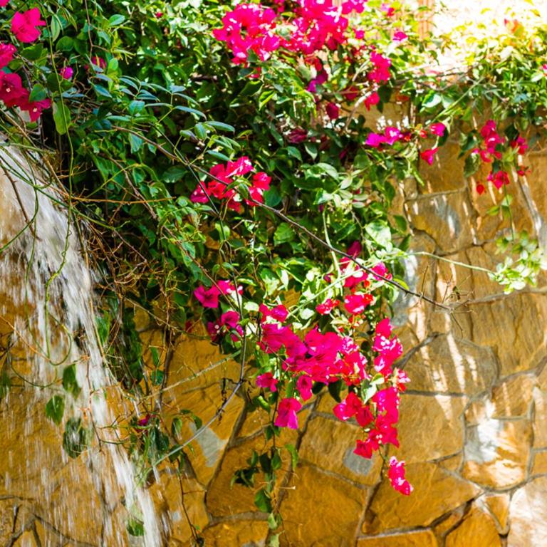 Bright villa with salt water pool - Villa con piscina privada - 21