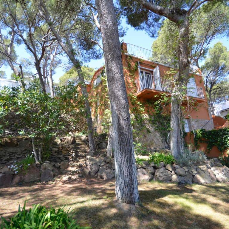 VILLA MEDITERRANEO - REF. 249 - Villa - 13