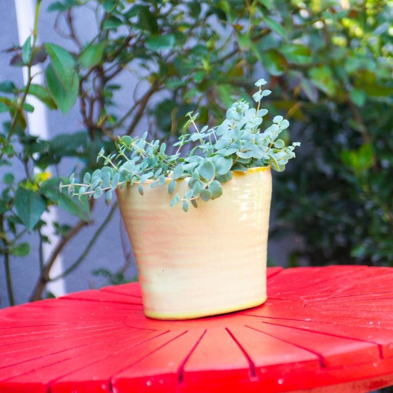 Yellow Lily Mostar Apartman - Studio with Balcony - 43