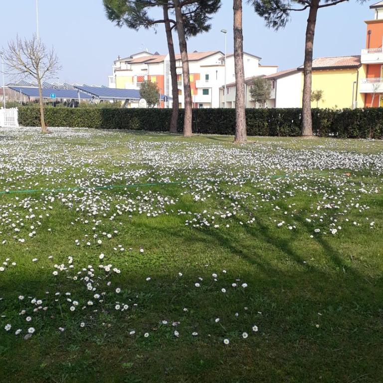 Appartamento Ai Tigli - Appartamento con 2 Camere da Letto (6 Adulti) - 19