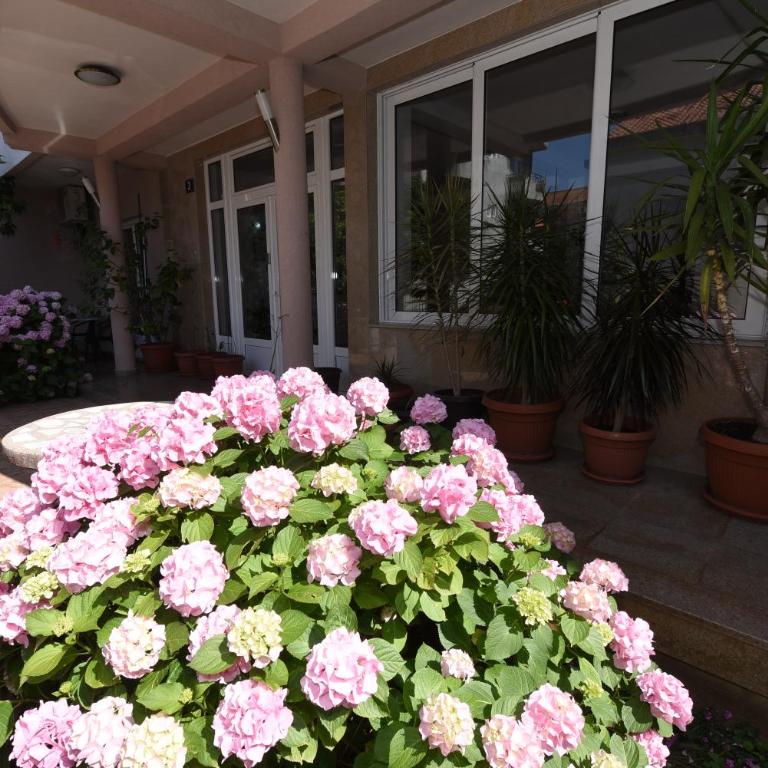 Guest House Zec - Dvokrevetna Soba sa Bračnim Krevetom/Zasebnim Krevetima - 14