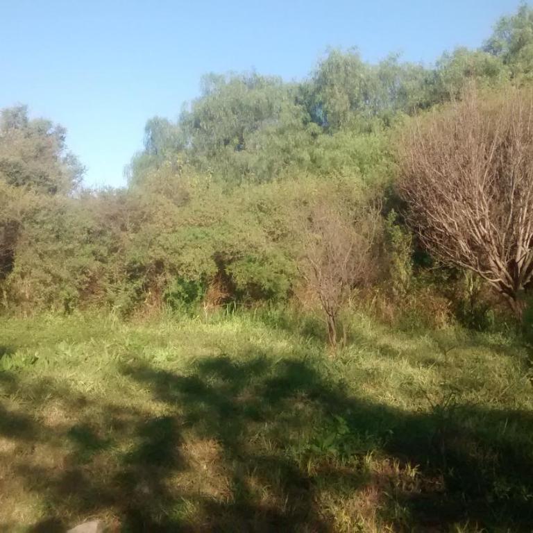 Casita Los Retoños en San Marcos Sierras - Apartamento Estándar - 19