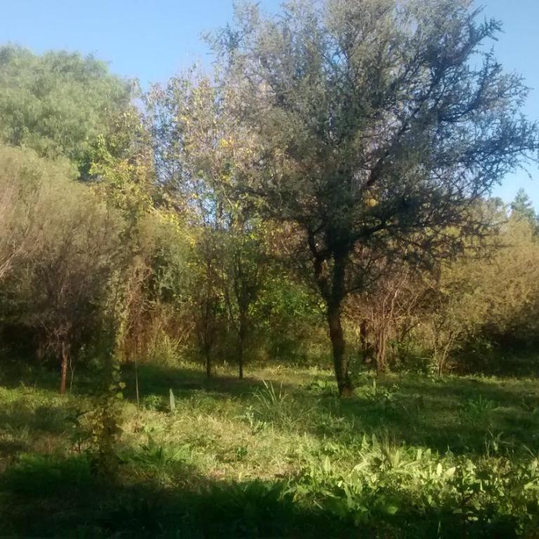 Casita Los Retoños en San Marcos Sierras - Apartamento Estándar - 15