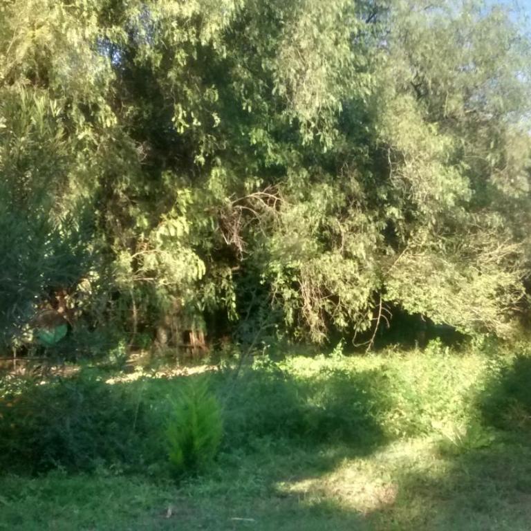Casita Los Retoños en San Marcos Sierras - Apartamento Estándar - 17