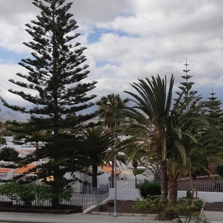 EL CHAPARRAL Studio-appartement with fantastic pool- view and STRONG WIFI - Apartamento con terraza - 23