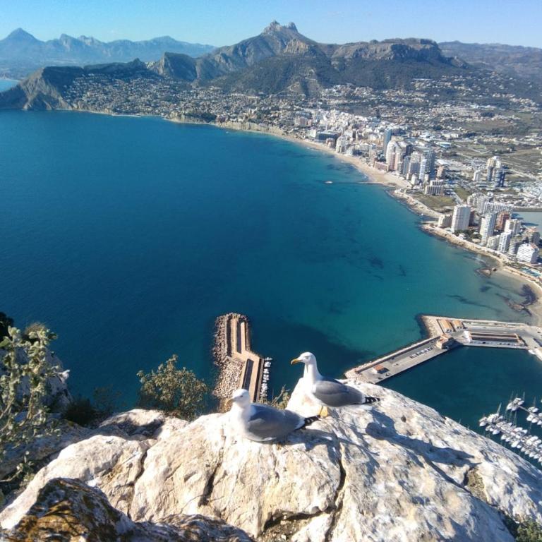 CALPE9A - Apartamento - 8