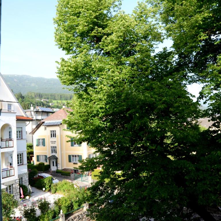Villa Streintz - Doppelzimmer mit Parkblick - 5