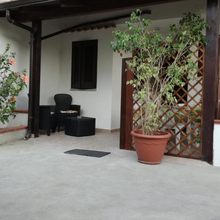 La Cycas Accommodation - One-Bedroom House - 5
