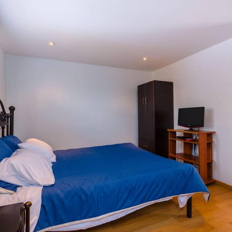 LOFT APARTMENT IN CENTRAL LOCATION (301) - One-Bedroom Apartment - 2