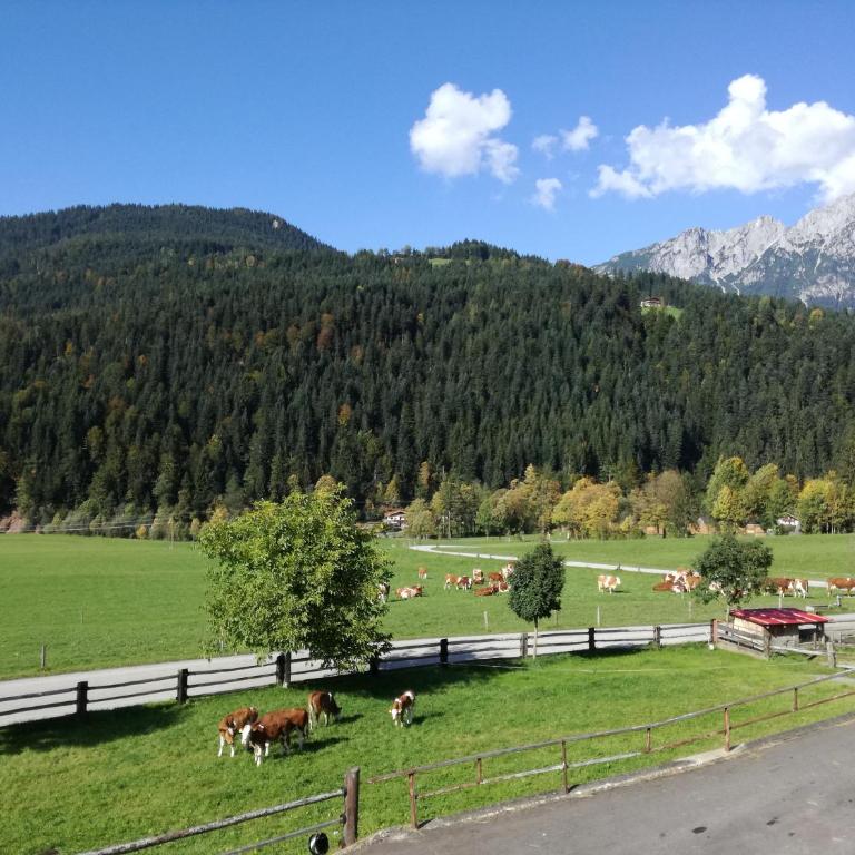 Appartement Unterbering - Appartamento con Vista Montagna - 19