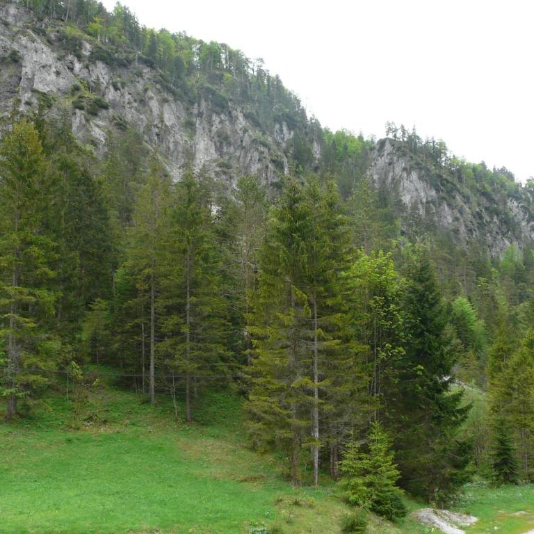 Wildnisquartier Schneckengraben - Ferienhaus - 10