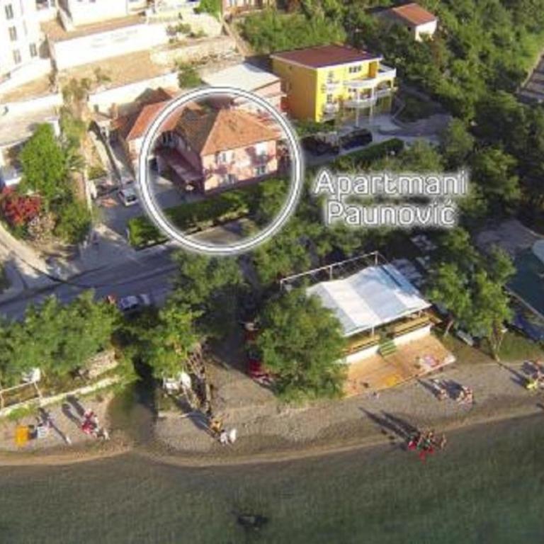 Paunovic Apartments - Apartman - 15