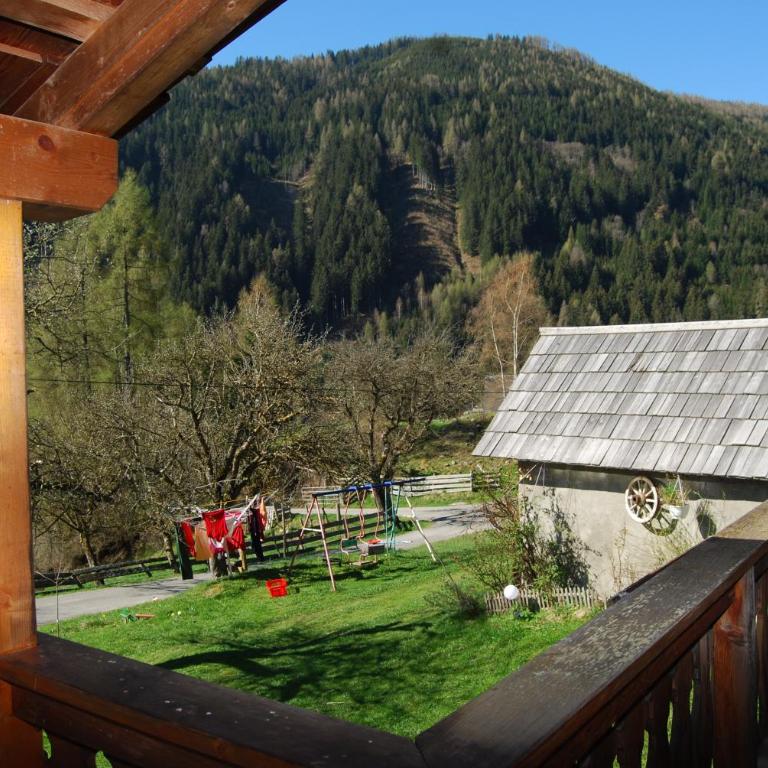 Bauernhof Hatzlhof - Apartment mit Balkon - 13