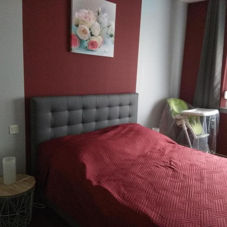 NIBENAMA - Appartement 1 Chambre - 7