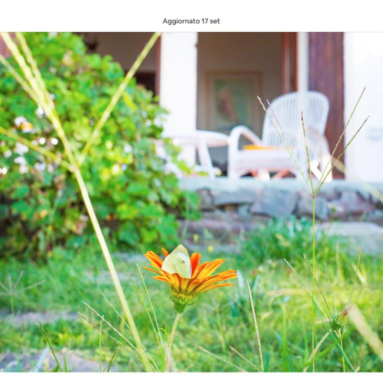 Villetta sul mare a Punta Tramontana - Casa de 2 dormitorios - 34