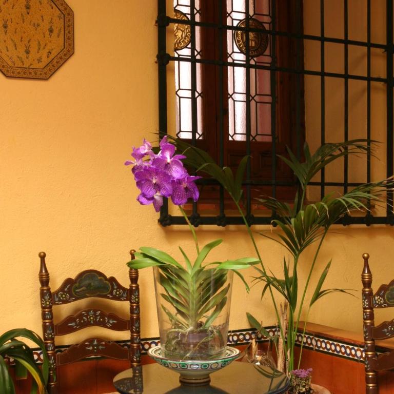 LUX San Miguel - Habitación Familiar - 2