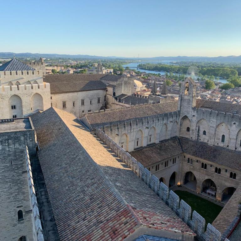 face au Palais des Papes - Appartement - 24