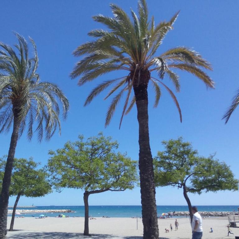 Appt terrasse vue mer LOCAMAR Cuchi - Apartamento - 15
