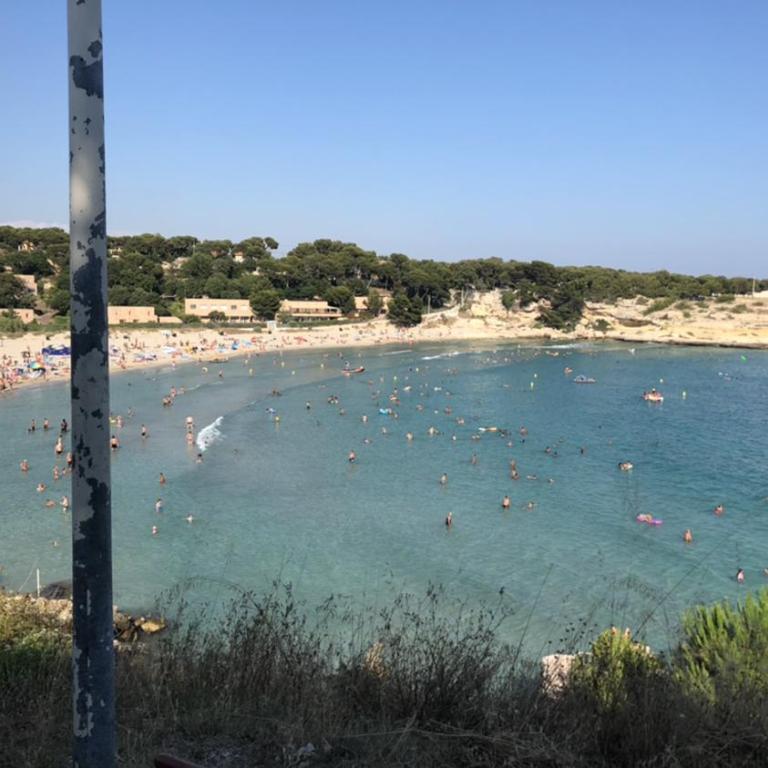 Studio « Les pieds dans l’eau » - Studio mit Meerblick - 2