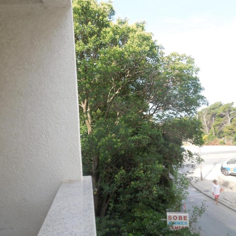 Apartments Bečić - Studio (2 Adults) - 1