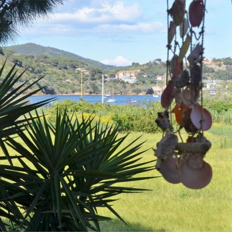 Appartamento La Rotta - Casa Vacanze - 26