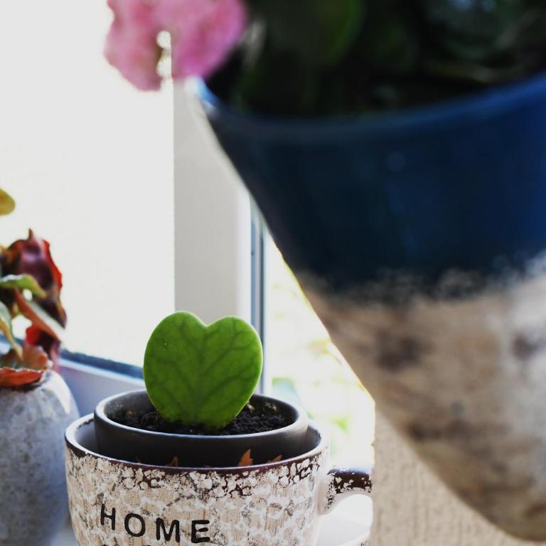 Apartments Marko - One-Bedroom Apartment with Terrace and Garden View - 10