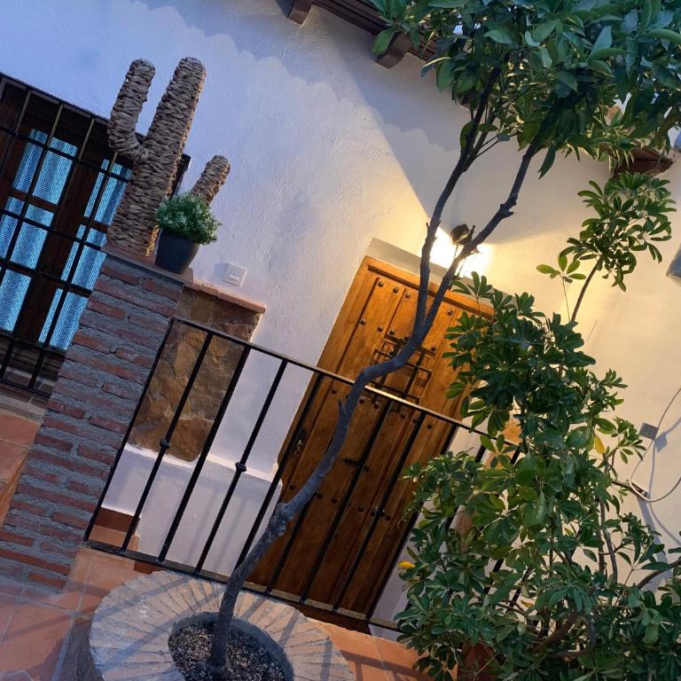 Apartamento con terraza en el Albaicin - Apartment - 18