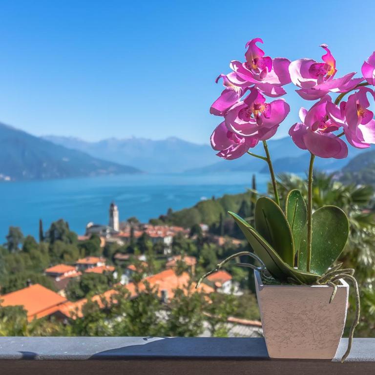 Villa La Perla, Bellagio - Villa - 24