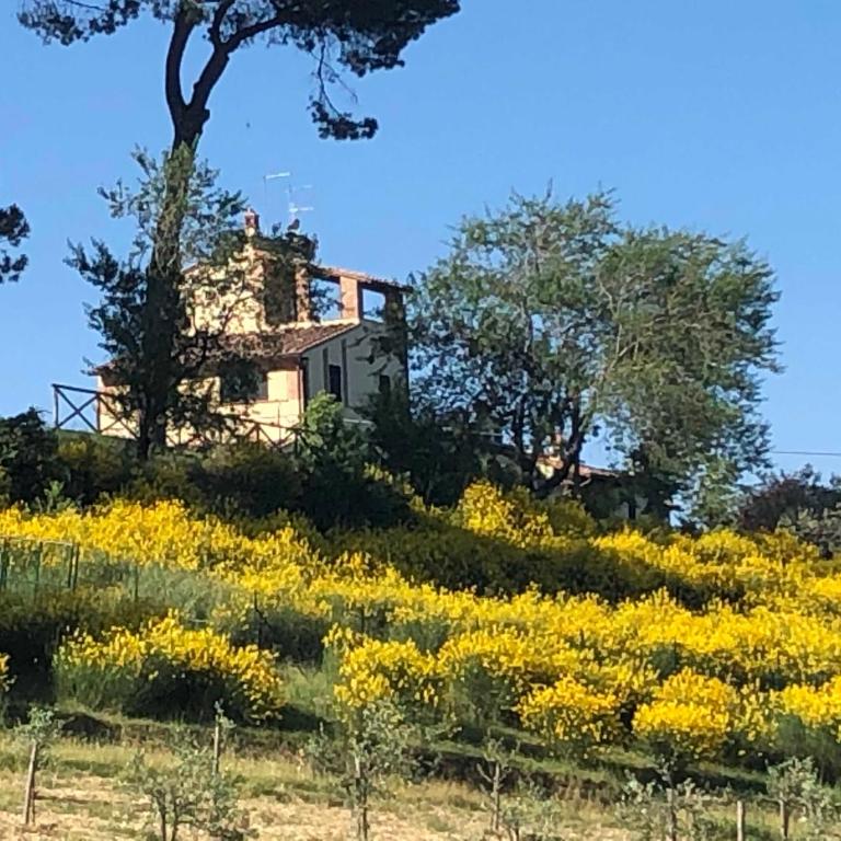 Podere La Cava - Casa con 3 Camere da Letto - 4