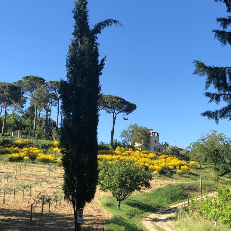 Podere La Cava - Casa con 3 Camere da Letto - 5
