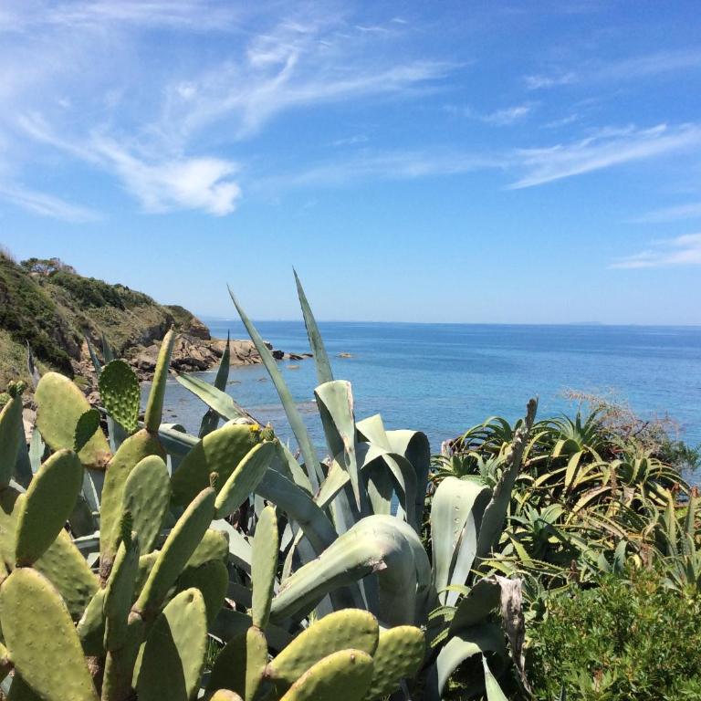 Villetta sul mare a Punta Tramontana - Casa de 2 dormitorios - 24