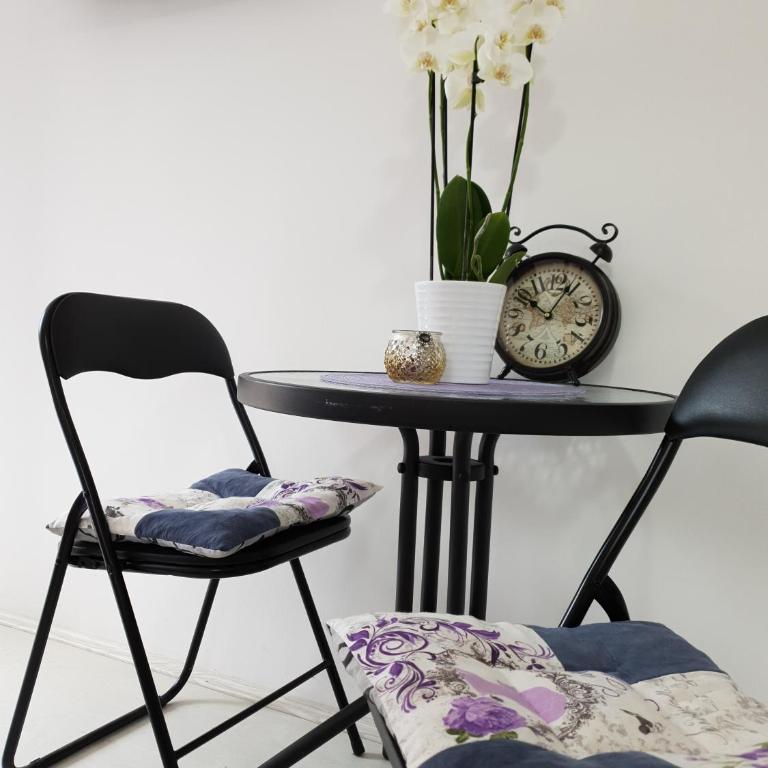 Vila Stefanovic - Studio - 1