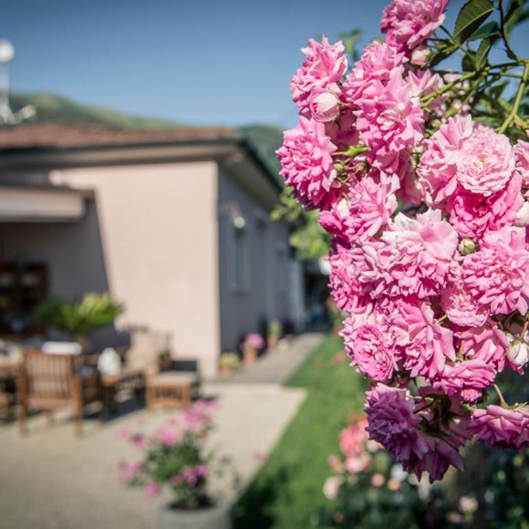 Casa Vittoria - Appartamento - 13