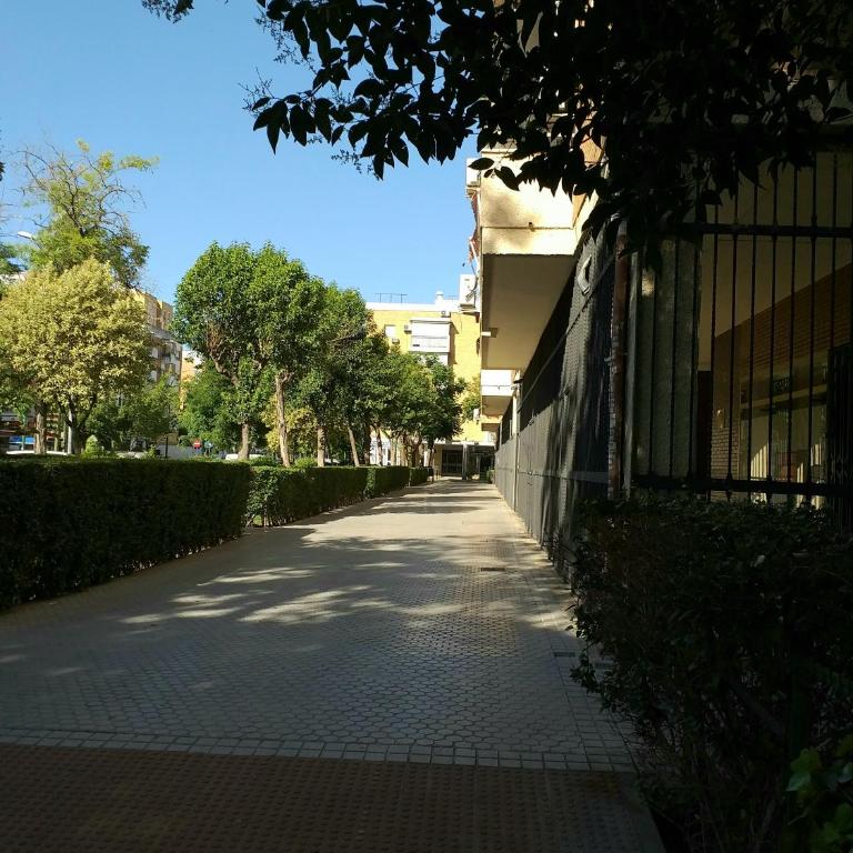 Apartamento turístico en Sevilla - Apartamento con terraza - 8