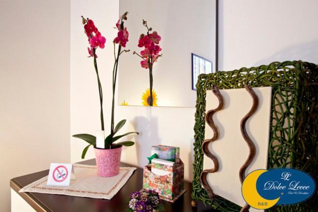 Dolce Lecce B&B - Doppel- oder Zweibettzimmer - 1