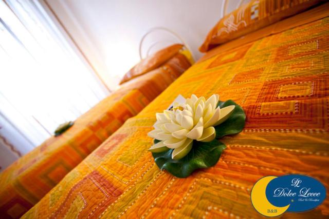 Dolce Lecce B&B - Doppel- oder Zweibettzimmer - 5
