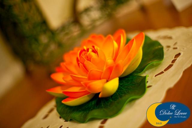 Dolce Lecce B&B - Doppelzimmer mit eigenem Garten - 8