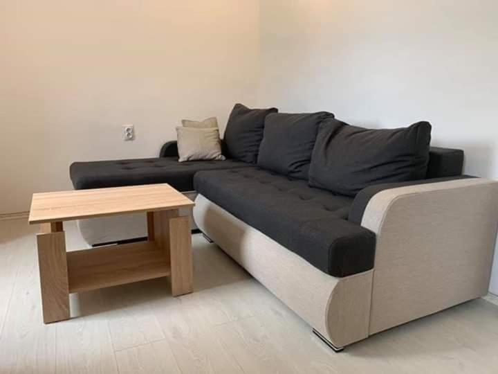 Apartments Dabovic - Apartment with Sea View - 16