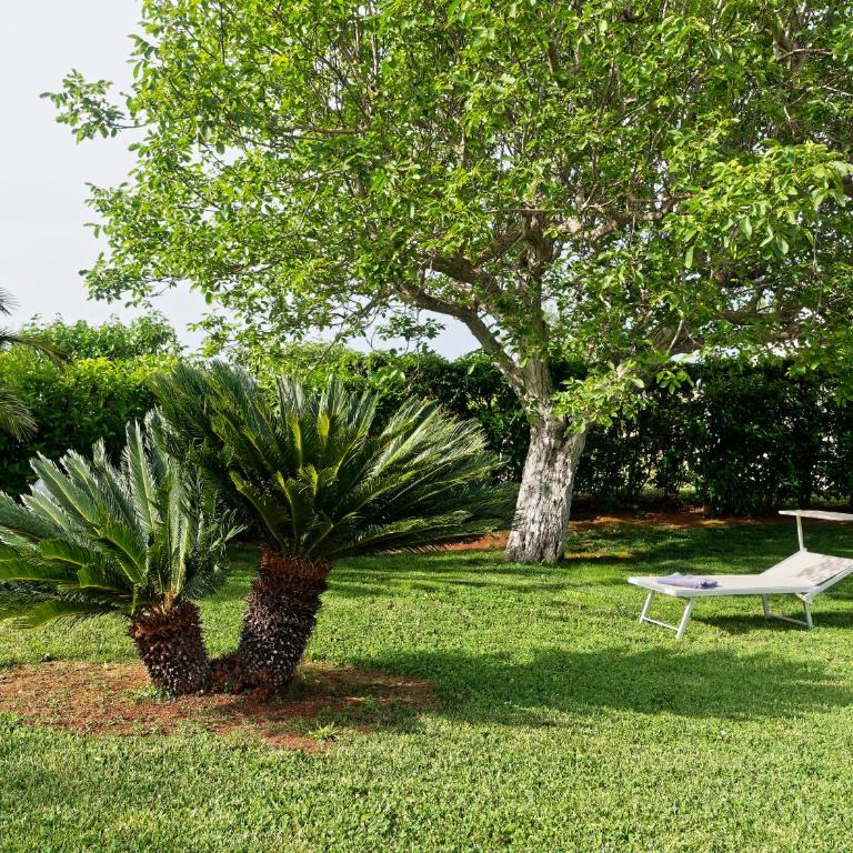 Terra Sessana Ville e Trullo con piscina privata - Casa con 2 Camere da Letto - 8