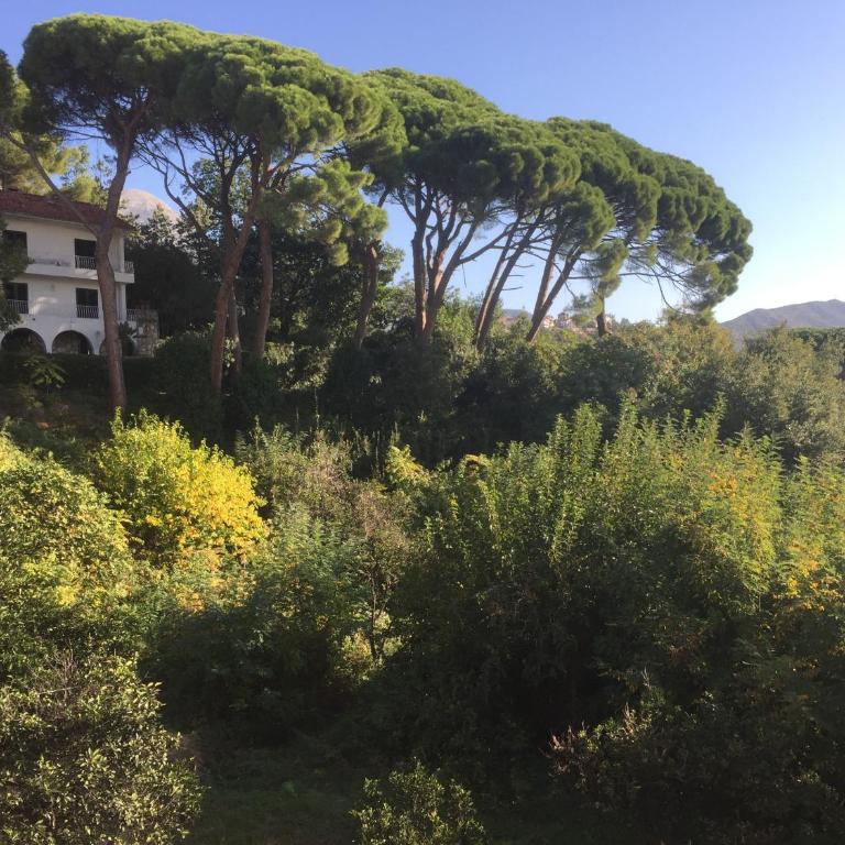 Villa Monte Boutique Apartments in Herceg Novi - Apartment with Balcony - 6