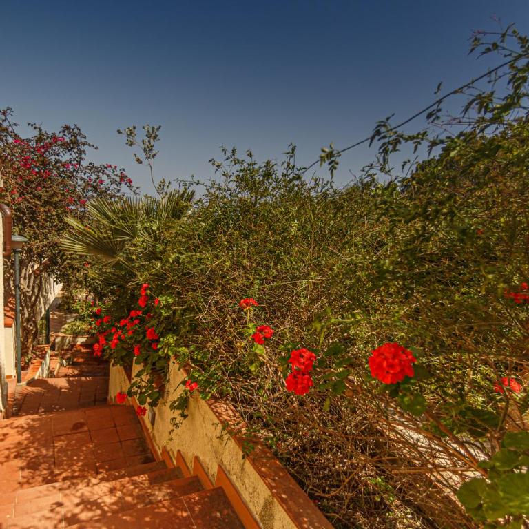 cefalù nest pool house terrace sea view - Holiday Home with Terrace and Sea View - 13