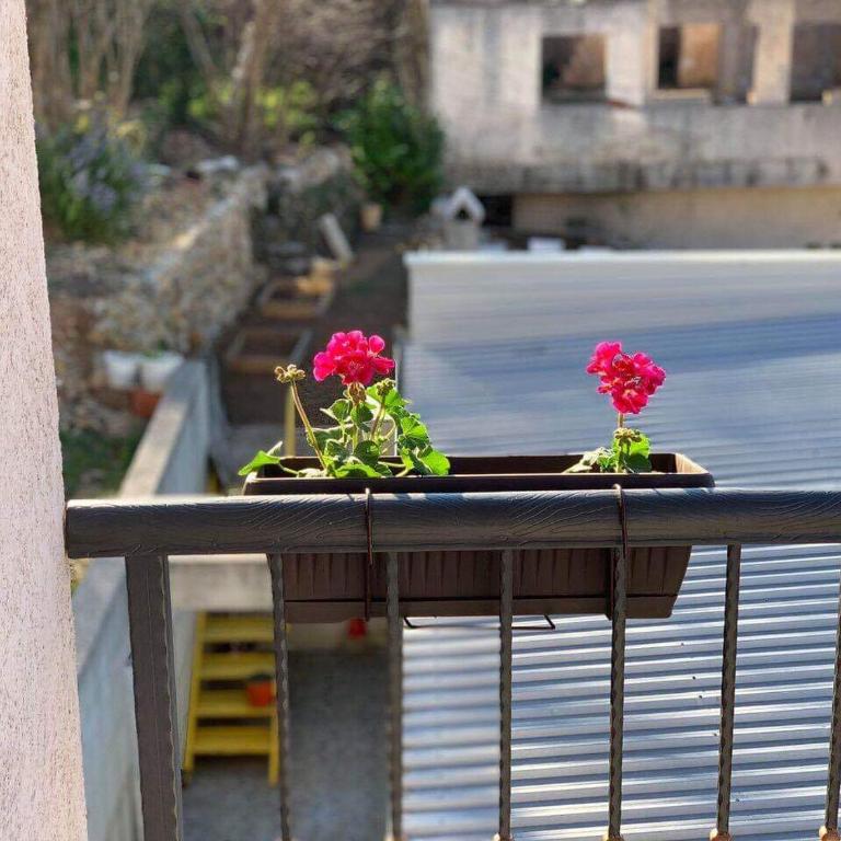Apartman Grande Ajna - Apartman sa 3 Spavaće Sobe i Balkonom - 5
