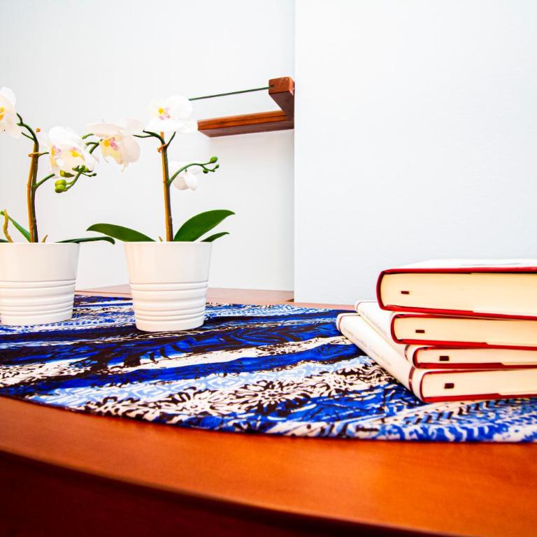 InnPisaRentals2- Pisa Books & Tower Apartment - Appartamento con 1 Camera da Letto - 24