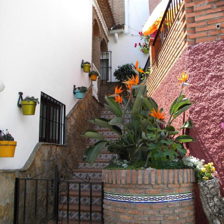 Moclinejo House - Casa de 3 dormitorios - 19